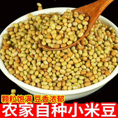 小树贵州农家小米米豆豆巴巴山