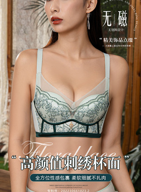 诗曼芬专柜正品内衣新款时尚刺绣聚拢定型上托B杯文胸S120115