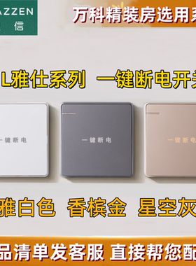 LAZZEN良信开关插座一键单开断电带荧光电源面板雅白香槟金星空灰