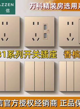 LAZZEN良信开关插座 一开两开双控五孔USB墙壁面板 雅润N31香槟金