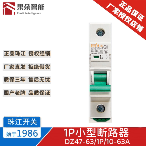 广东珠江开关小型断路器1P6-63A