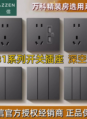 Nader/良信开关插座单双开五孔USB电脑墙壁电源面板雅润N31深空灰
