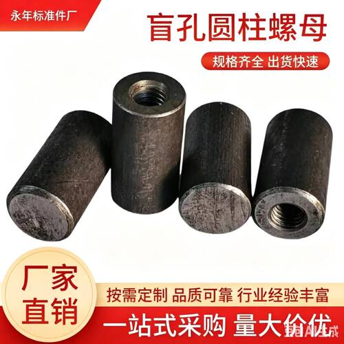 盲孔焊接螺母定制非标尺寸冷镦