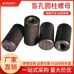 盲孔焊接母圆螺母加厚螺母异形螺母M12/M20/M24 定做各种非标尺寸