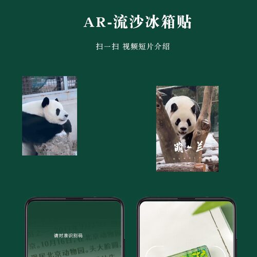 飞云大熊猫卡通可爱文创A