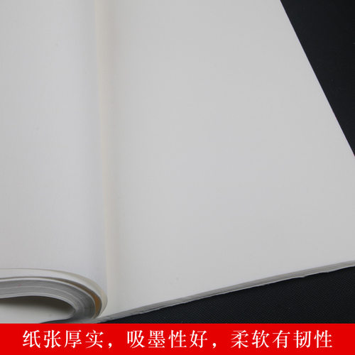 书法书画纸初学者练字作