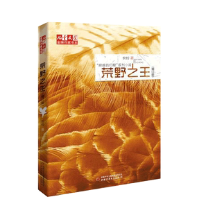 正版现货 艰难的归程系列 荒野之王 丛林守护神 林莽飞豹 艰难的归程 牧铃 儿童文学金牌作家书系 动物小说 中国少年儿童出版社书