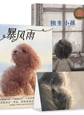 暴风雨 独生小孩 儿童情感教育绘本套装2册精装硬壳 郭婧 寻找一个永远的家 给孩子想象力和安全感绘本图画书