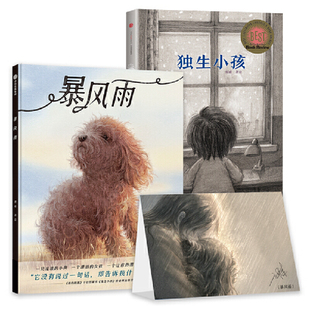暴风雨 独生小孩 儿童情感教育绘本套装2册精装硬壳 郭婧 寻找一个永远的家 给孩子想象力和安全感绘本图画书