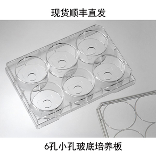 Cellvis 6小孔玻底板激光共聚焦培养板P06-10-1.5-N/P06-20-1.5-N