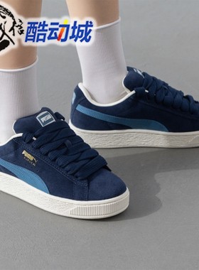 Puma彪马2025冬季男女同款时尚拼色舒适休闲板鞋面包鞋 395205-17