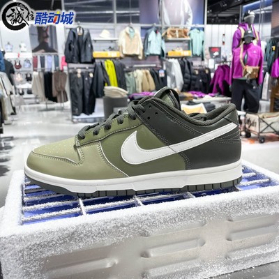 Nike耐克Dunk Low Retro男子经典休闲板鞋运动鞋2025冬HF5441-203