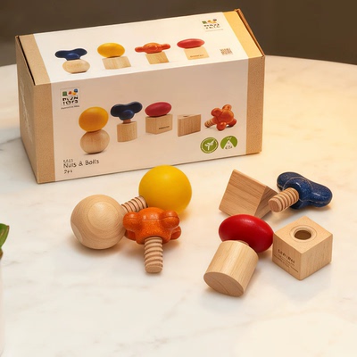 进口PlanToys螺丝训练手眼协调