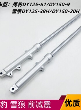 大阳前叉鹰豹DY125-61/DY150-9 雪狼DY125-38H/DY150-20H前减震器