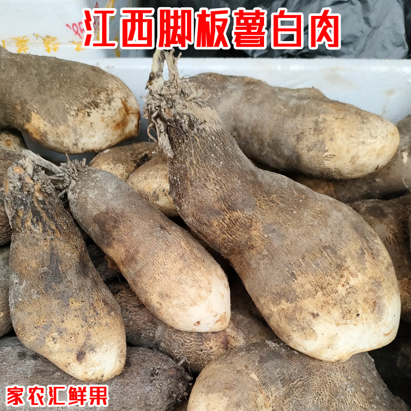 脚板薯新鲜蔬菜现挖现发白山药