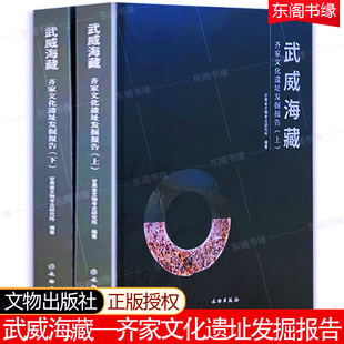 文物考古历史文化研究文献收藏鉴赏书籍 海葬遗址玉石器加工聚落址齐家文化等 武威海藏—齐家文化遗址发掘报告全套2册文物出版 社
