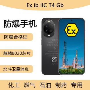 Pro化工厂石油制药然气油库5G全网通红外NFC 防爆手机华I为nova15