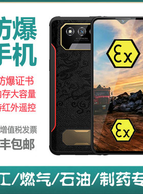 21KE 防爆本安EX智能手机工业化工厂天然气加油站制药CT4船舶油库