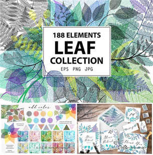 A0335矢量AI设计素材 树叶植物叶脉线稿印花装饰logo包装插画+png