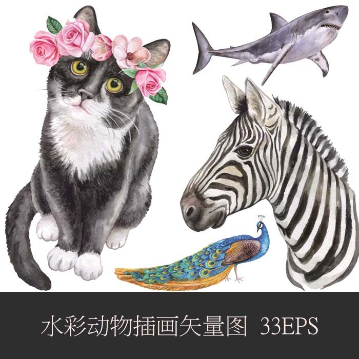 A0390矢量AI设计素材 水彩动物猫咪孔雀海豚斑马大象海龟老鹰插画