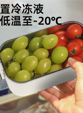制冷冰箱小冰盒冷藏饭菜神器水果