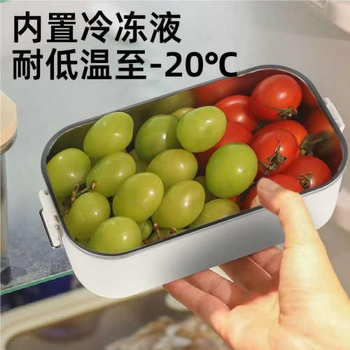 制冷小冰箱冰柜冷藏饭菜神器水果