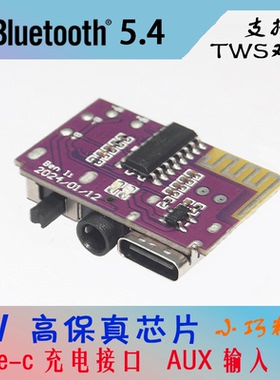 DIY自制音响配件 蓝牙音响主板 单声道 5瓦 支持TWS立体声对联