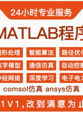 matlab程序代编python深度学习接单图像信号处理遗传算法代码复现