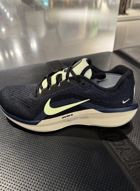 Nike耐克男子公路专业跑步鞋Winflo11透气2025夏新款运动鞋IH0637