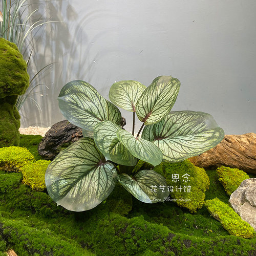 仿真植物大叶子造景素材创意搭配装饰绿植装饰家居配叶绿植墙叶 - 封面