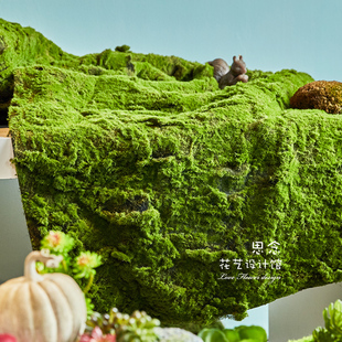 植物墙背景墙绿植草皮软苔藓装饰苔藓假苔藓假青苔造景装饰仿真草