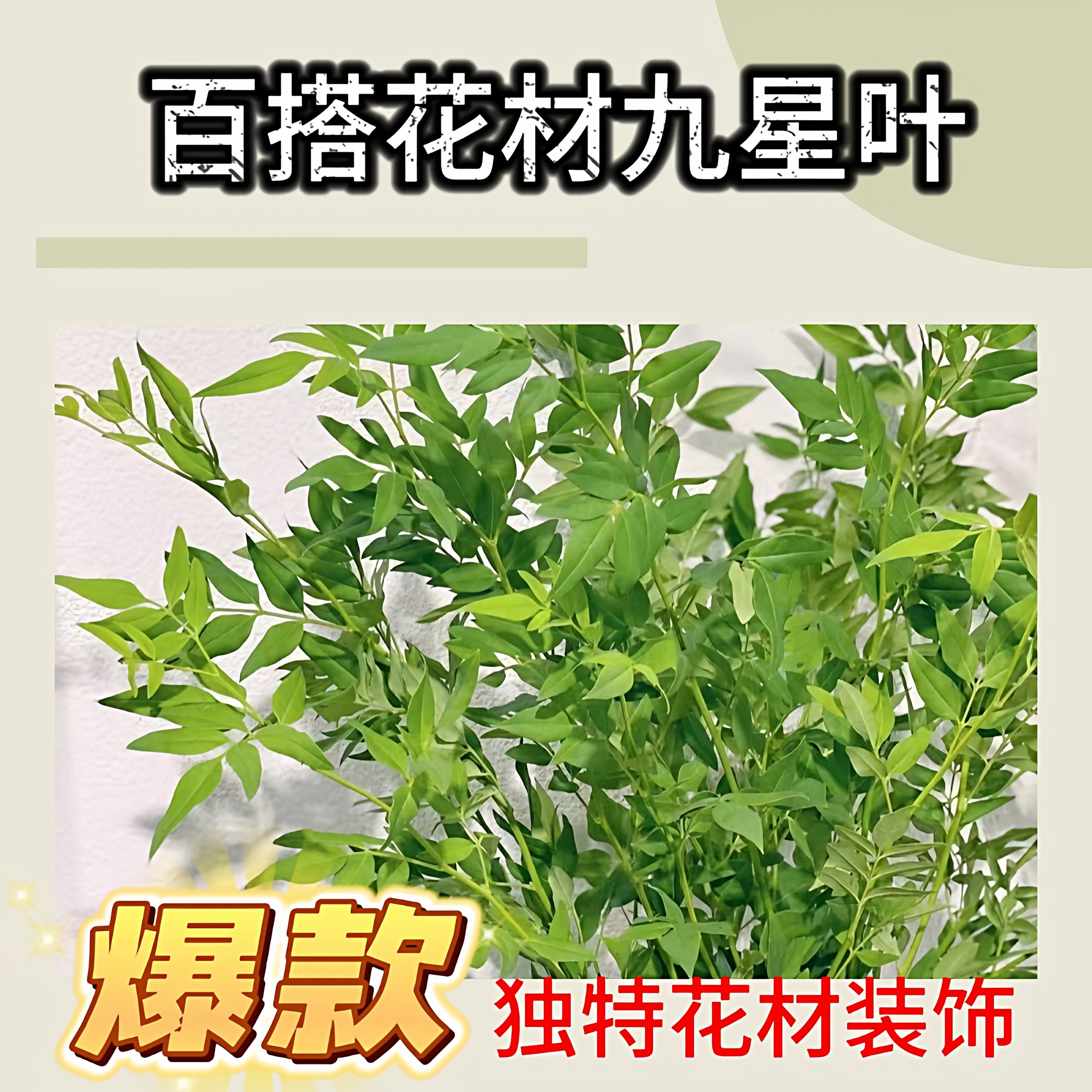 顺丰包邮雪柳叶九星叶配叶家庭办公室水养插花婚庆用花商务用花,鲜花速递/花卉仿真/绿植园艺,花材,淘宝优惠券,粉丝福利购,淘宝优惠卷