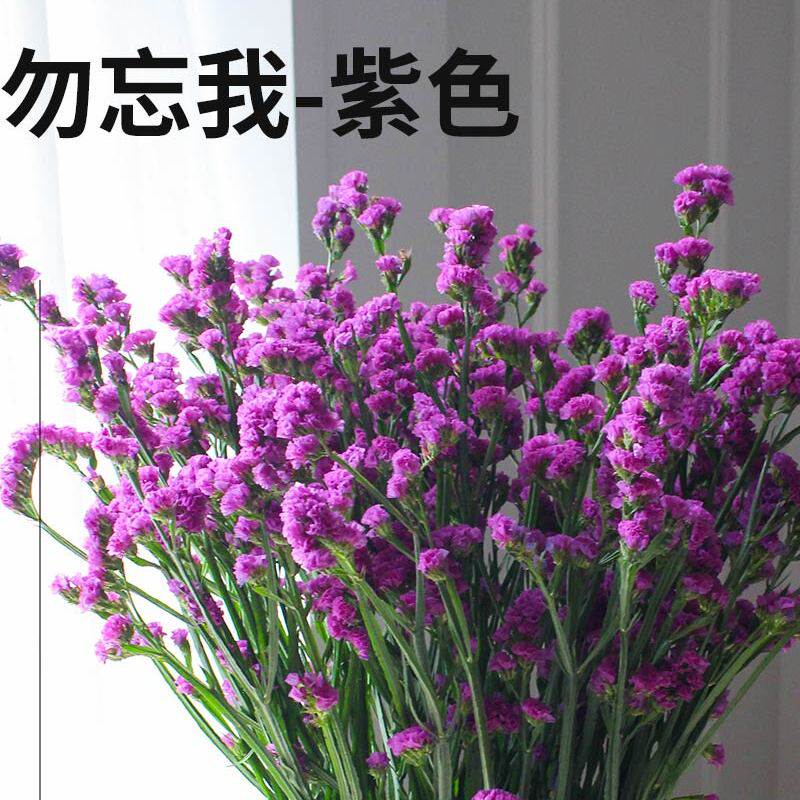 玫瑰花鲜花顺丰冷链勿忘我永生花家庭办公室水养插花婚庆用花