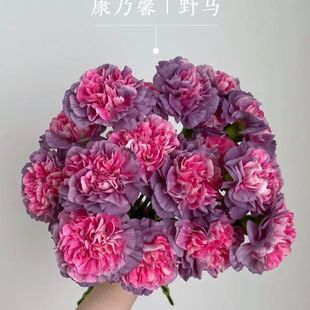 百合花鲜花顺丰冷链新店促销 康乃馨鲜花云南昆明水养插花轻奢家庭