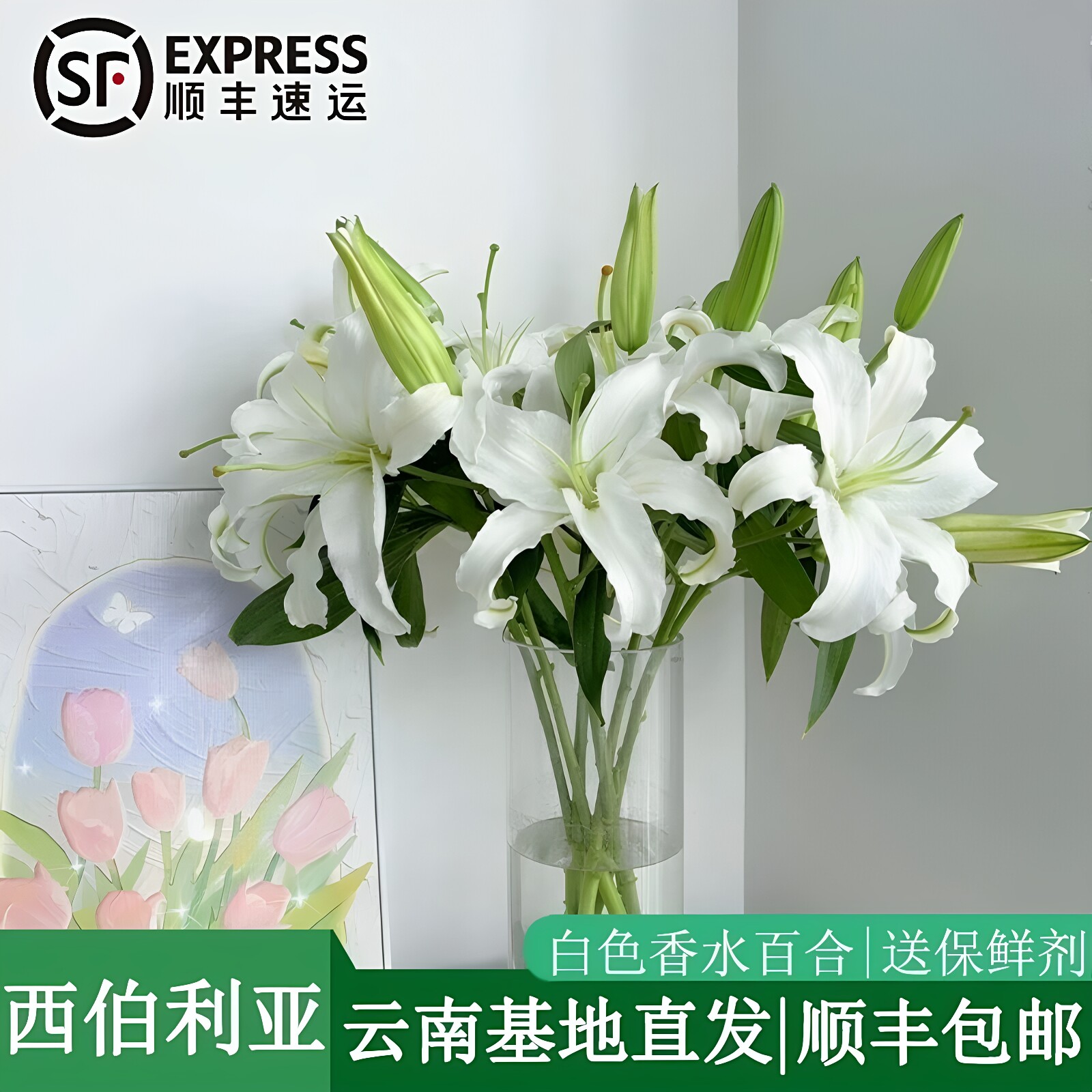 顺丰冷链西伯利亚香水百合鲜花多头白色百合客厅水养云南昆明基地