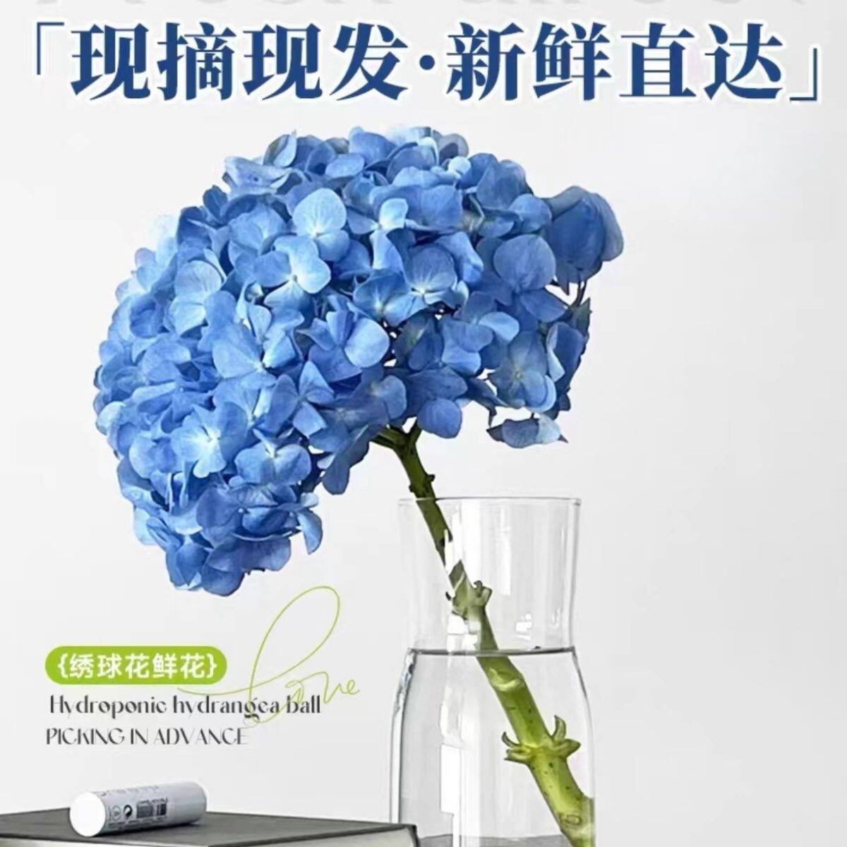 百合花鲜花顺丰冷链绣球花云南昆明水养插花家庭办公室北欧轻奢