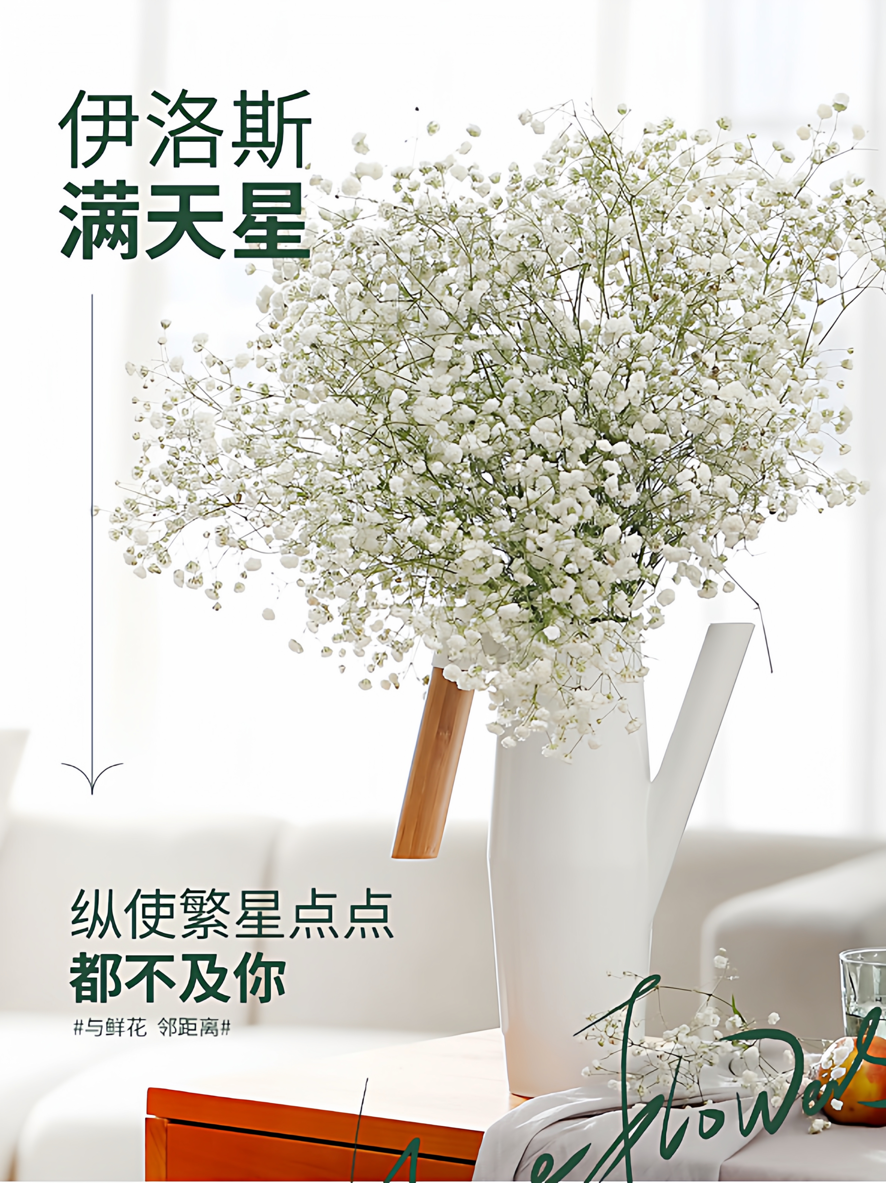 顺丰冷链满天星真花鲜花家庭办公室水养插花云南基地直发婚庆用花