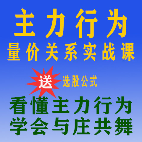 量价关系炒股教程主力行为实战课图片
