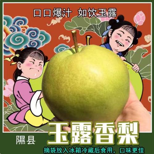 山西隰县玉露香梨 酥脆多汁顺丰包邮 大面积果锈不影响口感礼盒装