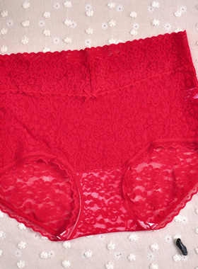 4条包邮彩田31066女式短裤蕾丝镂空花边内裤高腰无痕性感三角裤