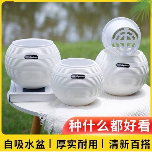 北欧懒人盆自吸水绿植种植盆白色螺纹圆形简约阳台办公室树脂花盆