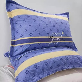 定做家用优选纯棉家纺精品加厚磨毛男生枕芯套全棉48x74cm枕套1对