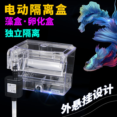 建荣bb10水泵外挂藻缸孔雀鱼
