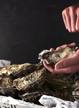 空运进口法国原装鲜活生蚝吉娜朵N1 48只木箱 日料 送蚝刀