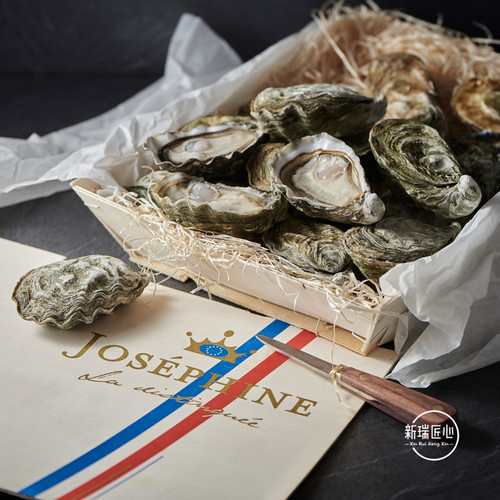 法国生蚝吉娜朵出品牡蛎鲜活