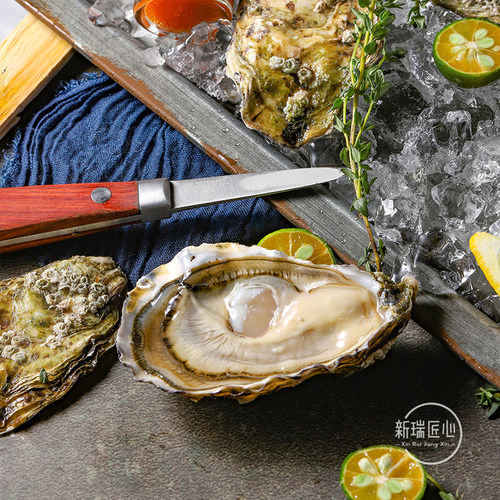 法国精选生蚝日料刺身