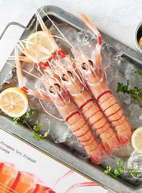 现货 新西兰鳌虾scampi斯干比小龙虾 南极深海捕捞螯虾1号1KG