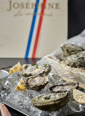 空运进口 法国原装活生蚝 约瑟芬N1 N2  24只 吉娜朵出品 牡蛎