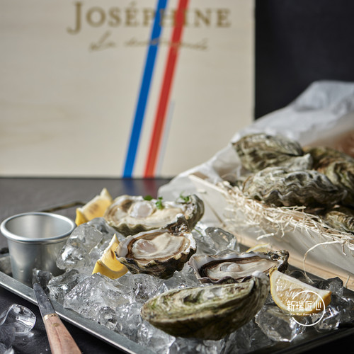 法国牡蛎活生约瑟芬即食