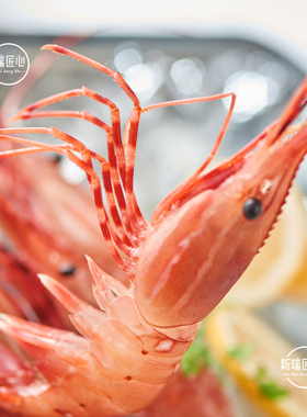 加拿大进口M L XL J SJ号深海牡丹虾1KG10-42只 斑点虾食材